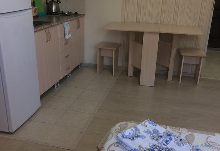 Двухместная студия с индивидуальной кухней без балкона (2 этаж). Гостевой дом Пионер