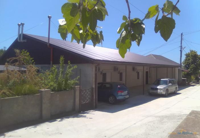 Орхидея плюс