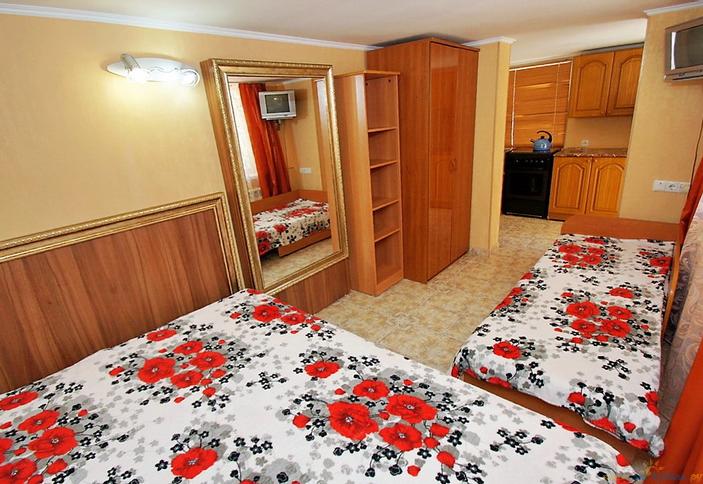 Однокомнатный с кухней в коттедже на 1 этаже