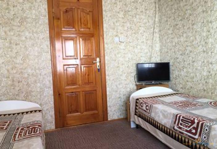 Эконом двухместный. Гостевой дом Алена, Сочи, Адлер