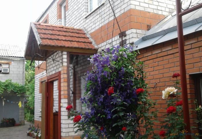 Золотая рыбка