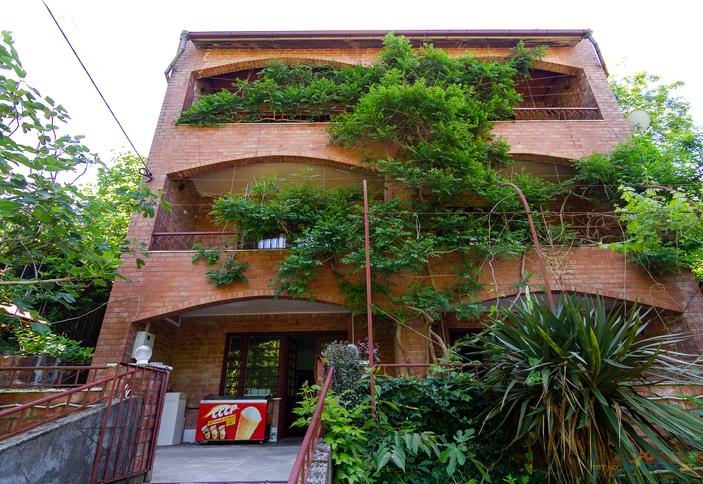 Лесная прохлада