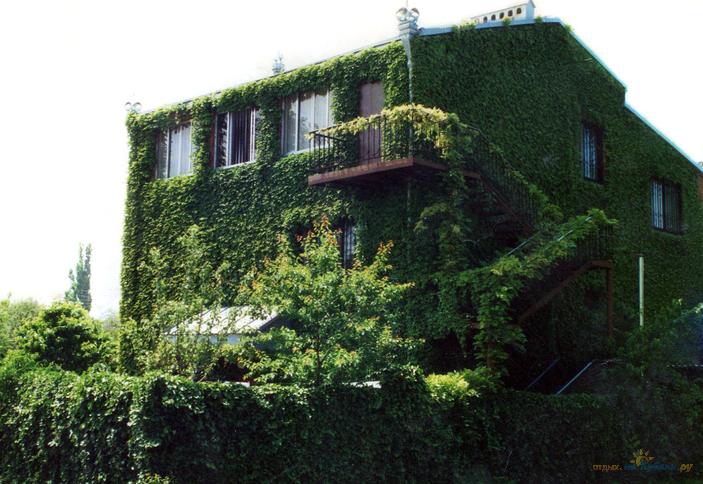 Гостевой дом на Буденного, 107. г. Краснодар