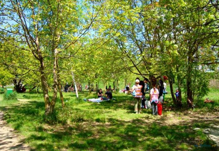 Рождественский парк