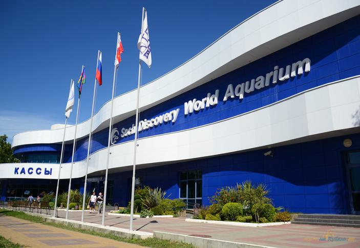 Sochi Discovery World Aquarium (Cочи Дискавери Ворлд Аквариум)