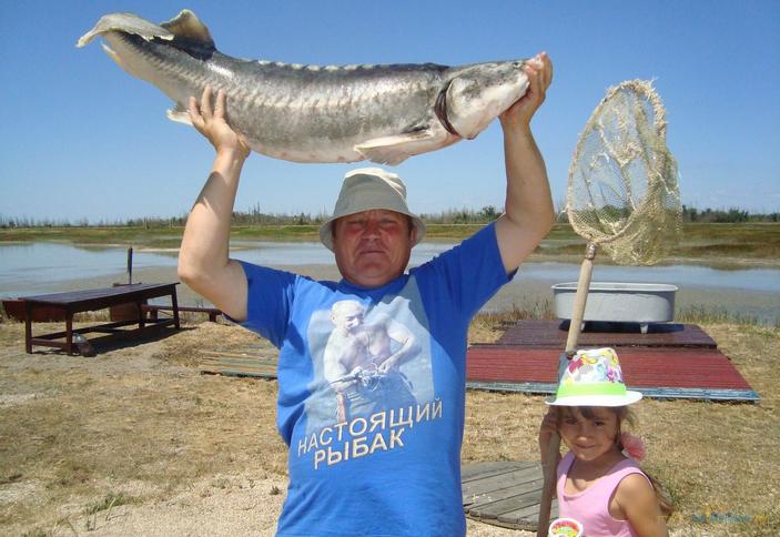 Осетровый курень