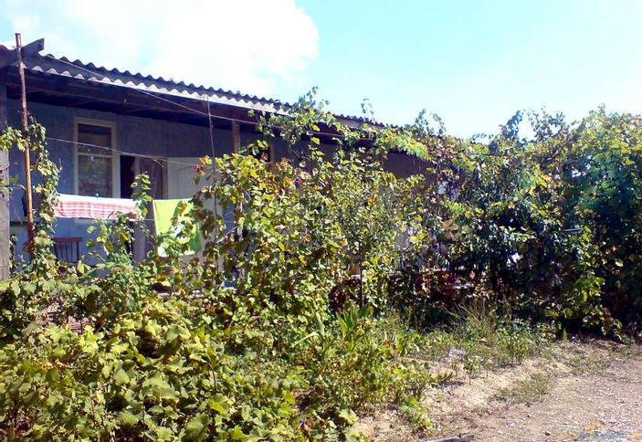 Гостевой дом Изабелла, г. Геленджик, с. Криница