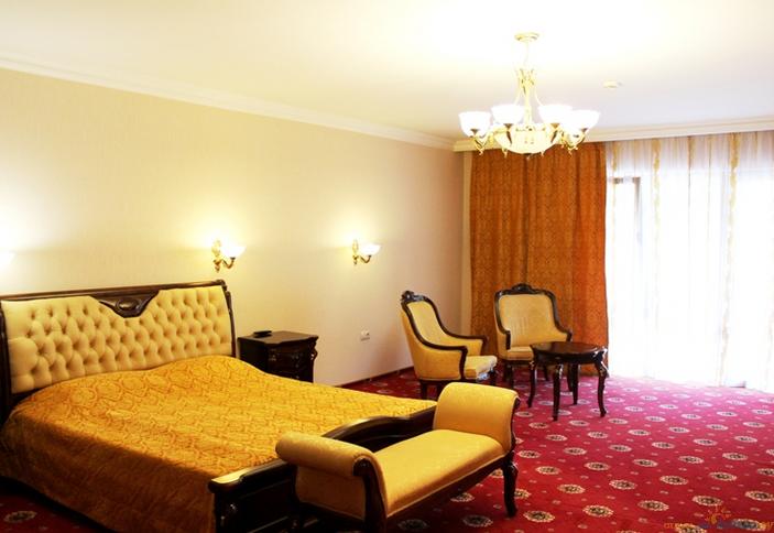 Люкс двухместный. Отель Гала Плаза. Сочи, Эсто-Садок