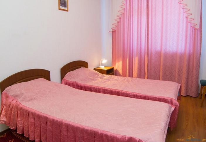 Двухместный стандарт без питания 