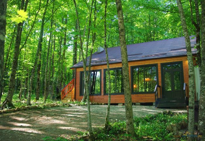 Зеленый Гай