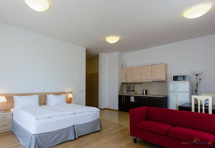 Студия с кухней и выходом на кровлю