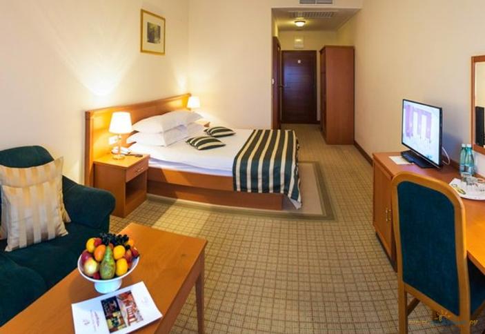 Стандарт Dbl с видом на город