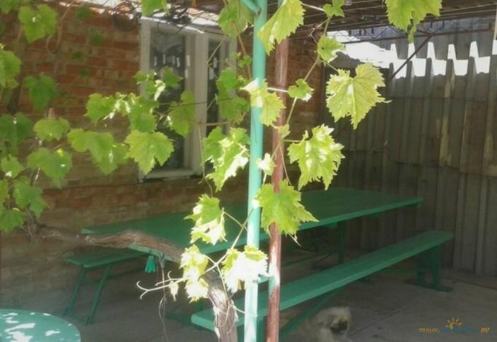 На Октябрьской