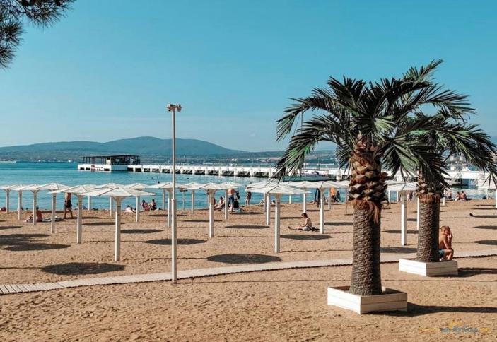 Среди пицундских сосен