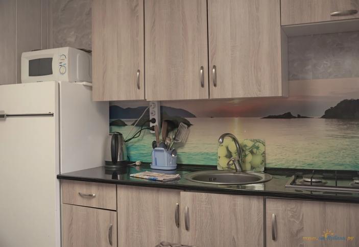 Апартаменты с кухней №4