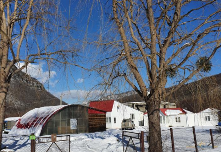 Stellar (Стеллар)