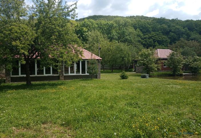 Лесной дворик