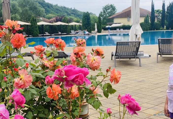 Резиденция Солнца