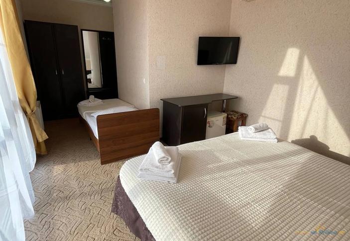 Трехместный стандарт №42