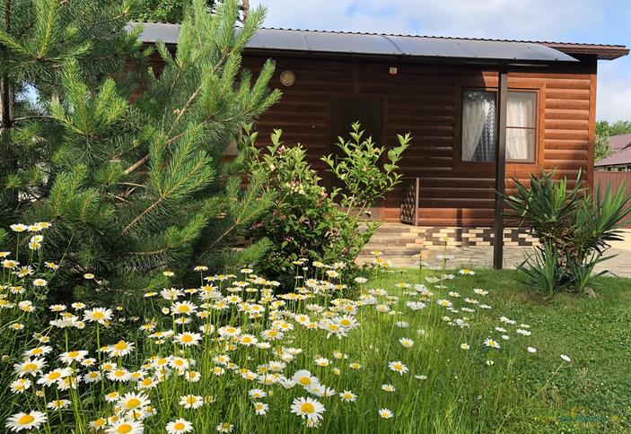 Летний коттедж на 2 семьи