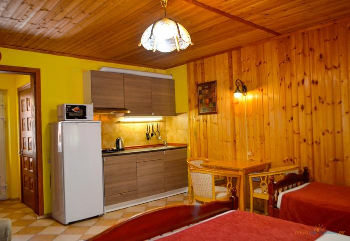 Люкс-студио с кухней