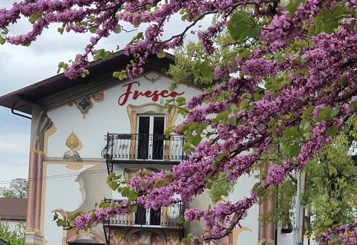 Бутик-отель Fresco. Геленджик