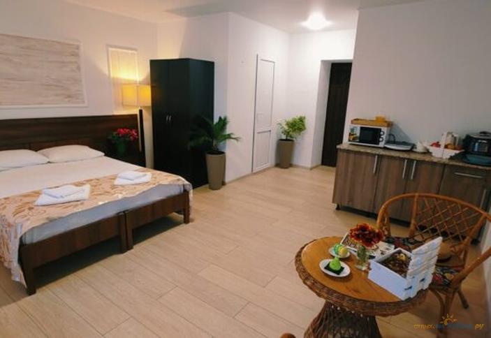 Студия двухместная с мини-кухней