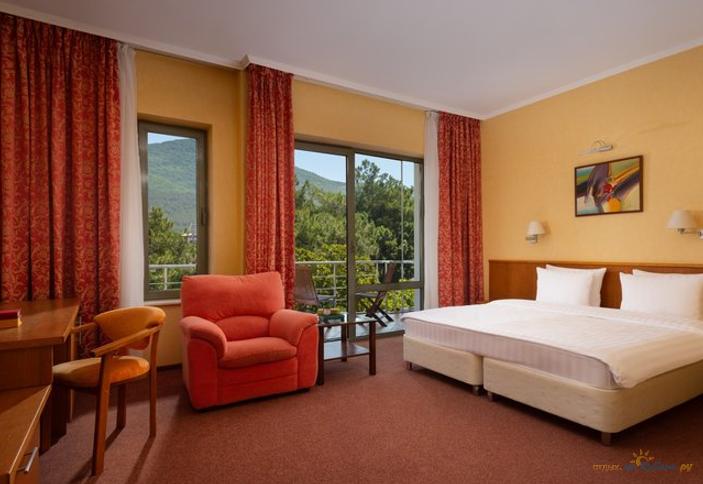 Стандарт 1 категории