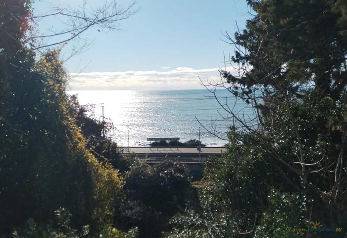 Anchor Villa (Анкор Вилла)