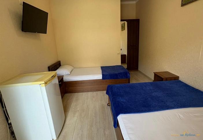 Трехместный стандарт с видом на сад