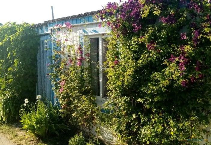 Комфорт двухместный