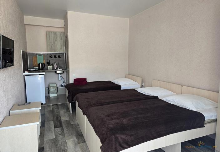 Студия с кухней (3 места)