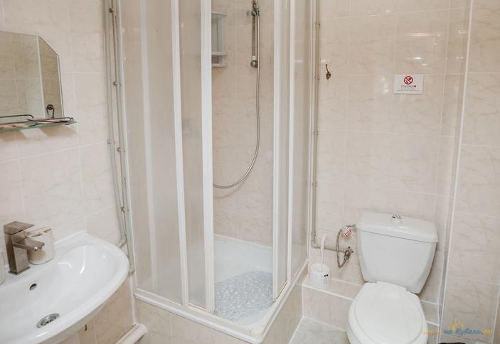 Трехместный стандарт-апарт