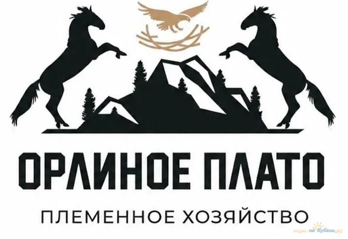 Орлиное Плато