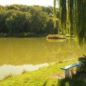 фото Спортивно-туристический комплекс Рыбалка на горном озере, Каменномостский (Майкопский Район)