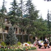 фото Отель Олеся, Адлер (Сочи)