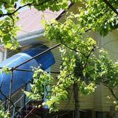 фото Гостевой дом Лилия, Лазаревское (Сочи)