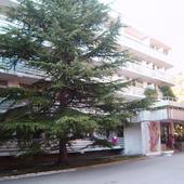 фото База отдыха Радуга, Небуг (Туапсе)