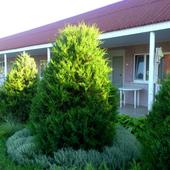 фото Гостевой дом Азовец.ру, Кучугуры (Темрюкский Район)