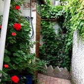 фото Частный дом В доме у Юлии, Адлер (Сочи)