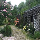 фото Гостевой дом Персиковая поляна, Архипо-Осиповка (Геленджик)