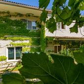 фото Гостевой дом Прохладный, Джубга (Туапсе)