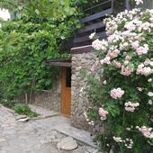 фото Гостевой дом На Береговой 18, Архипо-Осиповка (Геленджик)