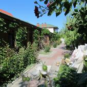 фото Гостевой дом Бухта Радости, Заозерное (Евпатория)