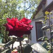 фото Частный дом Феодосия, Феодосия (Крым)