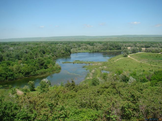 Отдых в Спорного (Гулькевичский Район) 2026