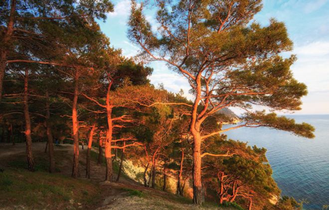 Голубая бездна. Дивноморское. Геленджик