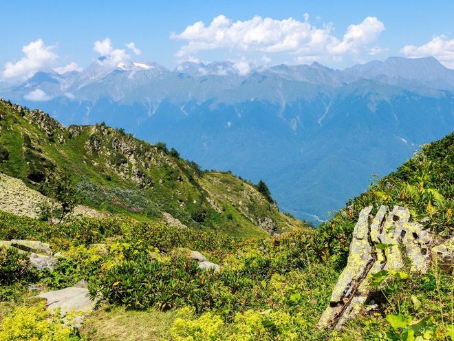 Отдых в базах отдыха Адлерского района Сочи 2026