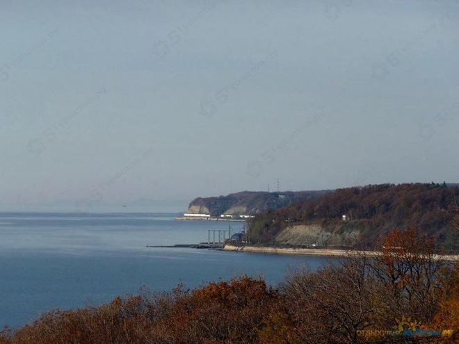 Отдых в Совет-Квадже (Сочи) 2026