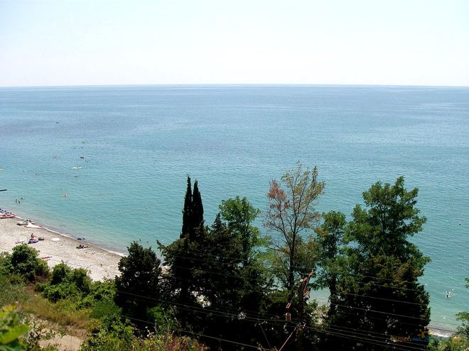 Отдых в Вишневки (Сочи) 2026